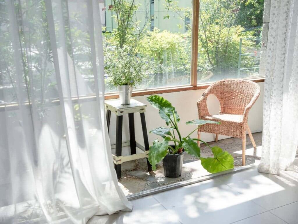 Window Curtains