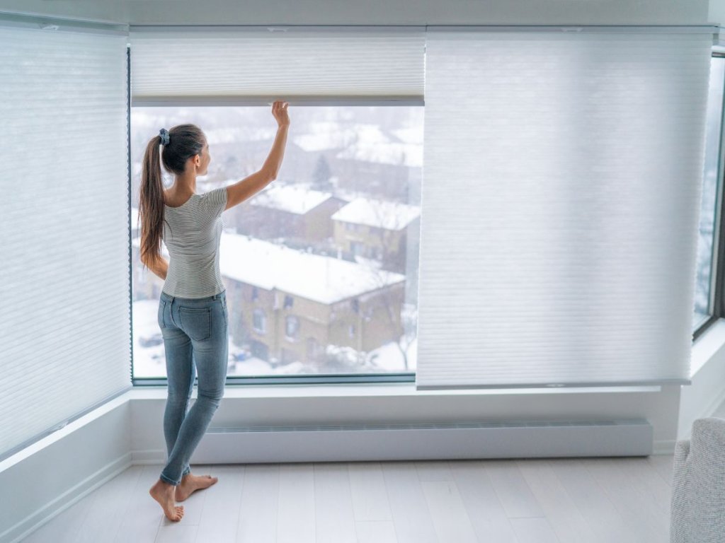 Window Shades