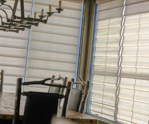Custom window shades